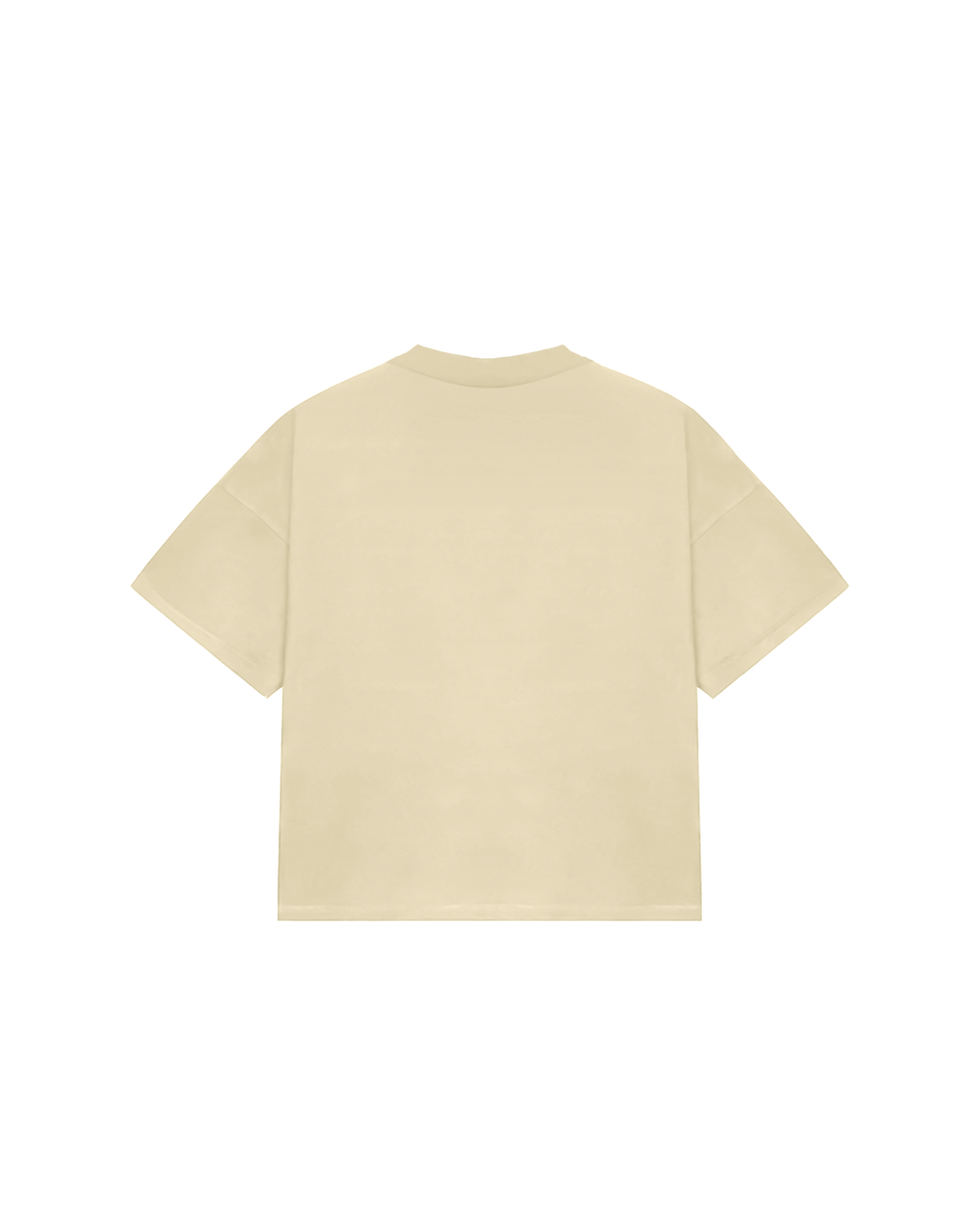NO INTERNET TEE