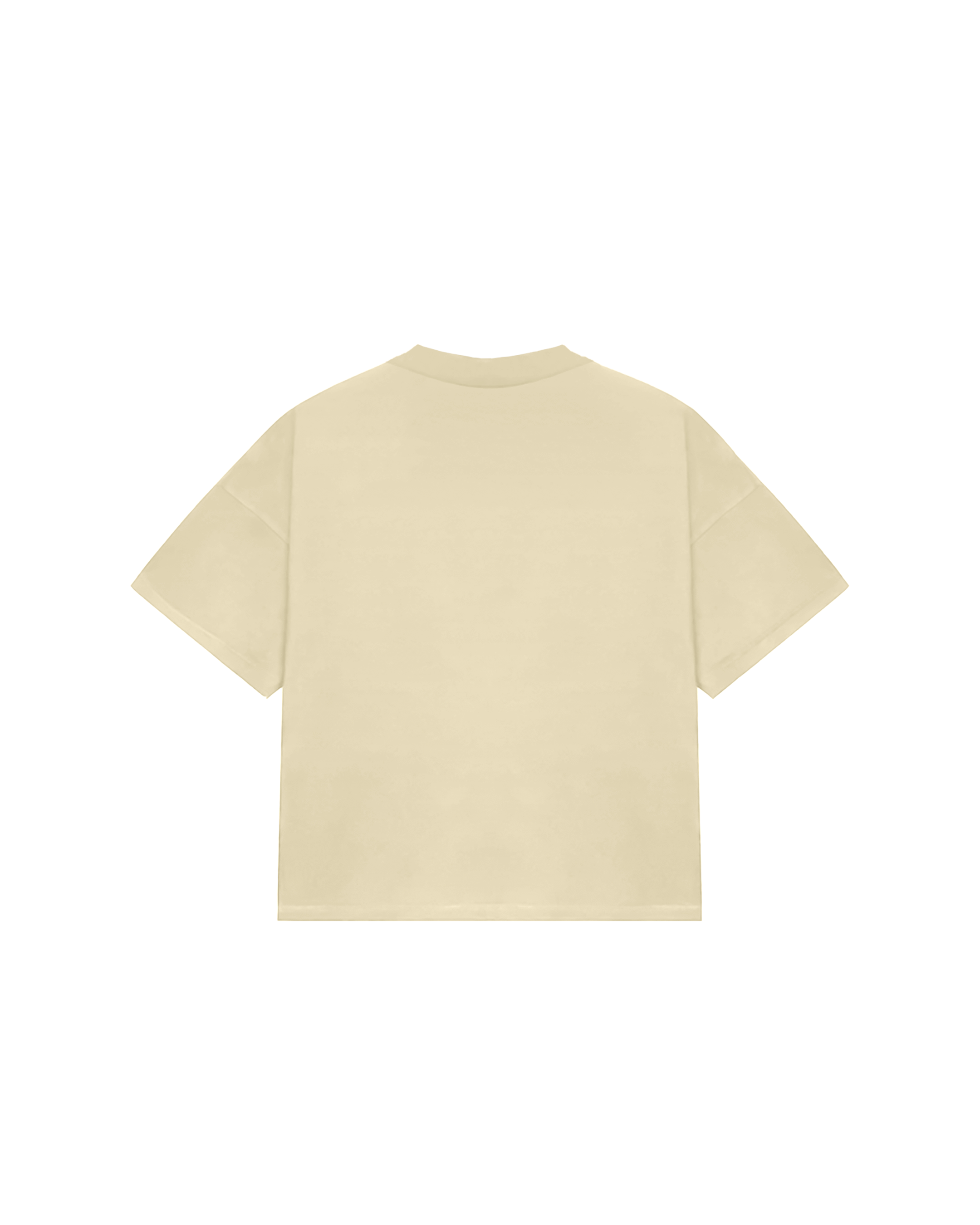 NO INTERNET TEE