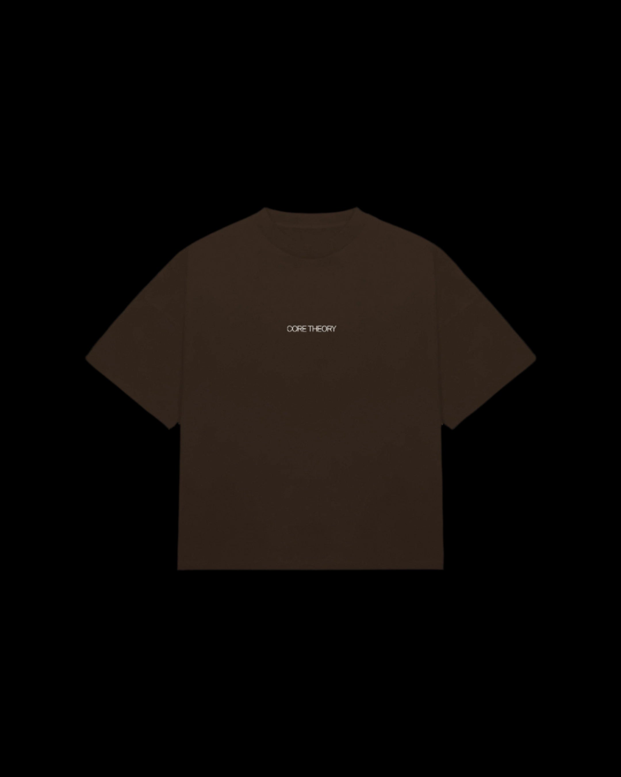 CORE THEORY BROWN  BASIC TEE