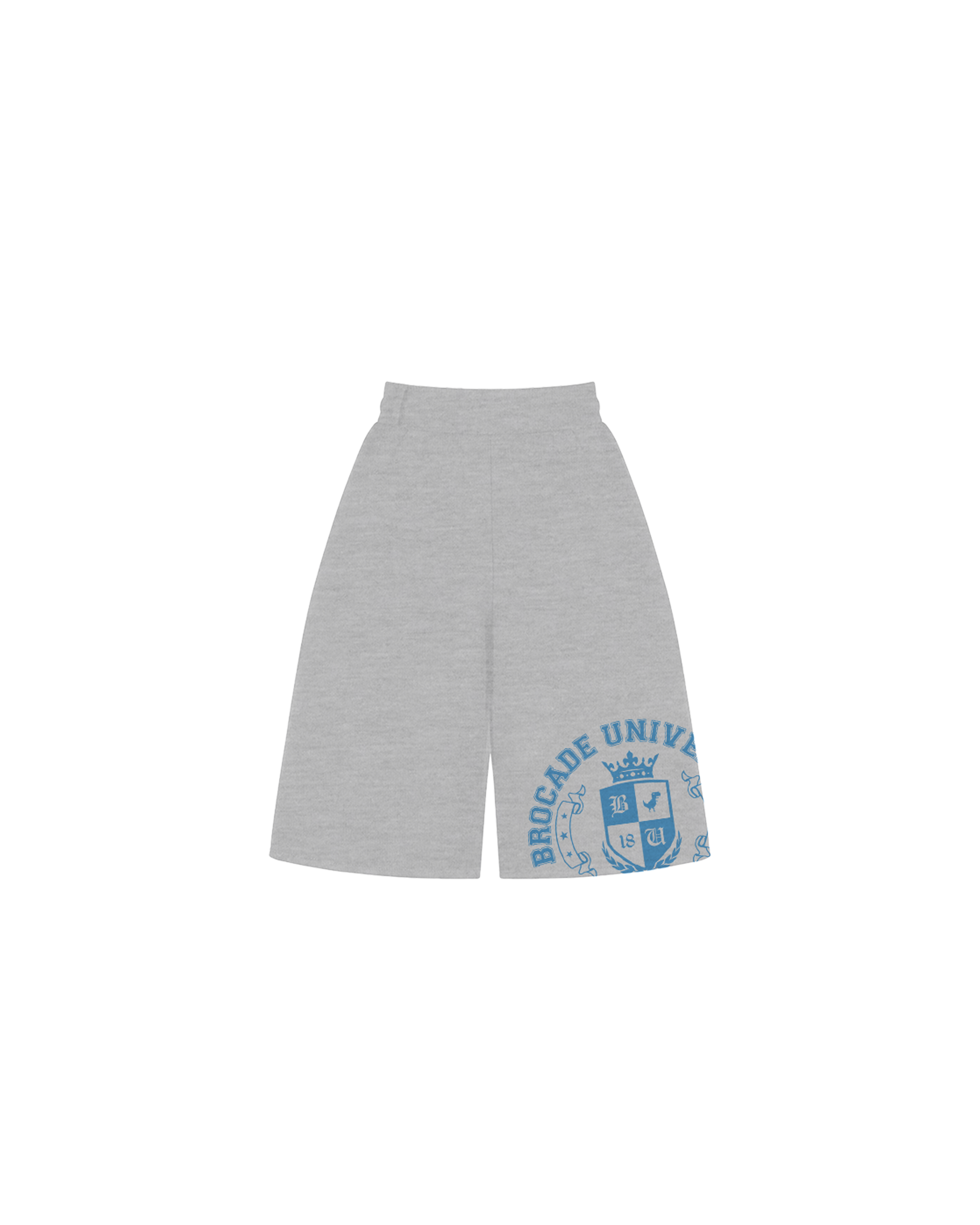 STANDARD ISSUE JORTS