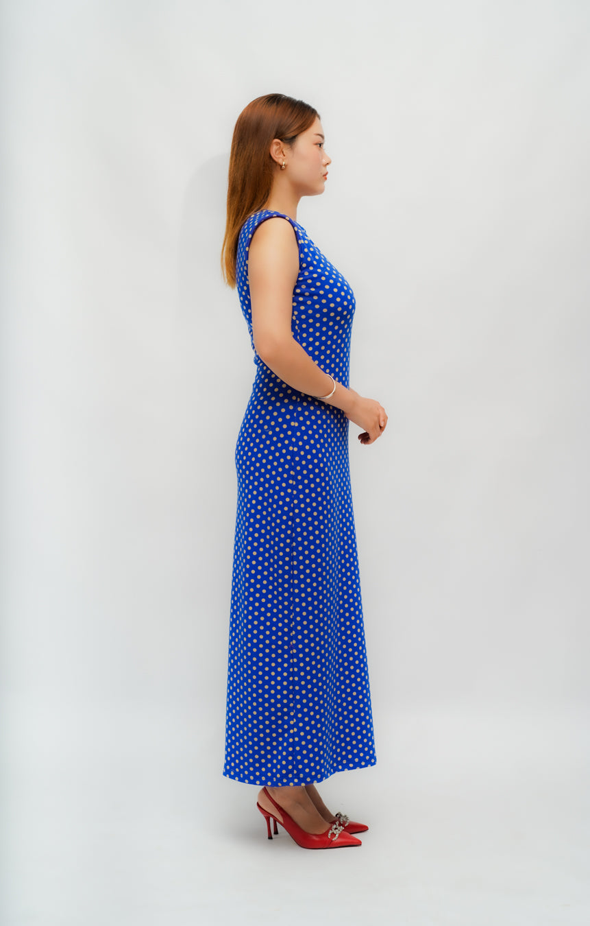 Blue Polka Dot Dress