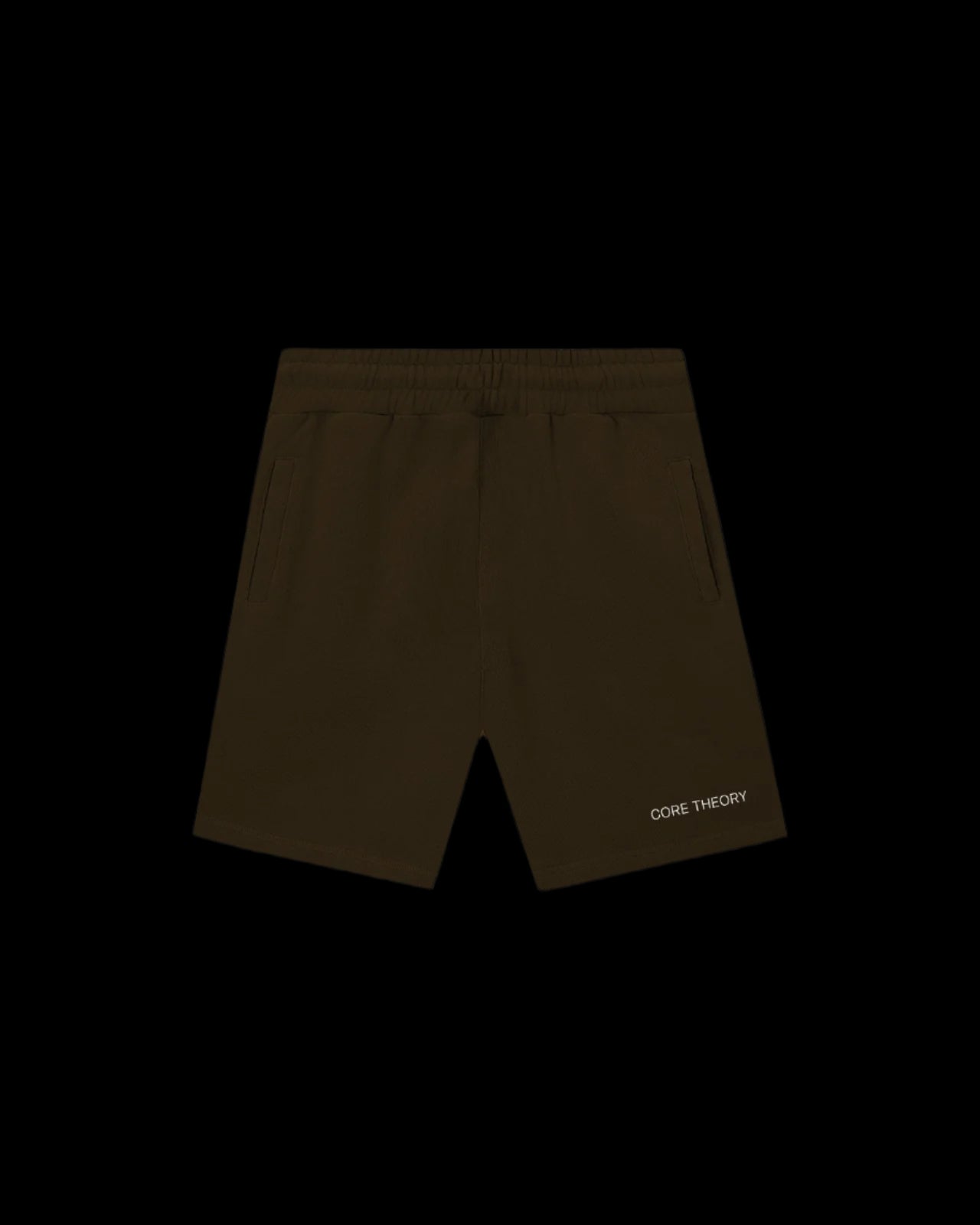 CORE THEORY BROWN SHORTS