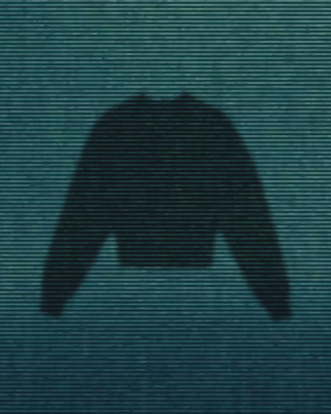 BLIND SECURITY PULLOVER