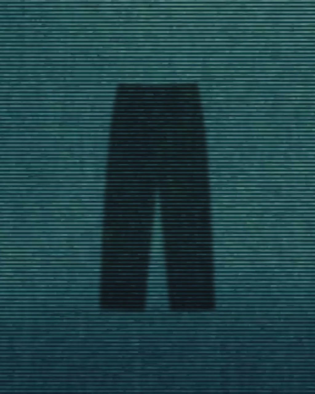 BLIND SECURITY TROUSER